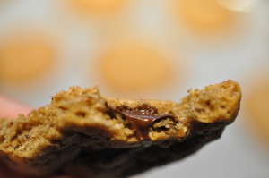 DSC_8980 • nogetiovnen.dk Julecookies med kanel, ingefær & chokolade