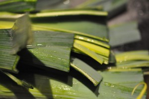 Minestronesuppe - opskrift på oksekødssuppe