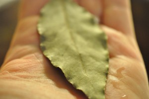 Minestronesuppe - opskrift på oksekødssuppe