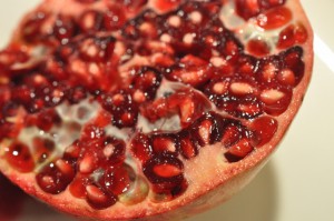 DSC_0090 • nogetiovnen.dk Citronfromage opskrift på lækker citron dessert