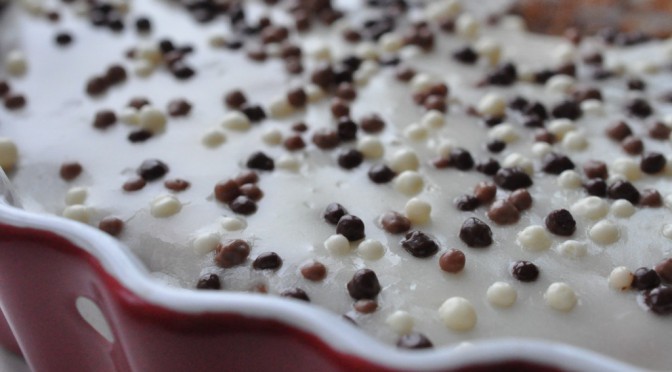 DSC_0270-672x372-1 • nogetiovnen.dk