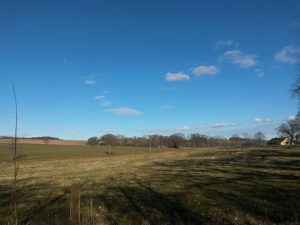 2016-03-20 15.25.51 • nogetiovnen.dk Natur