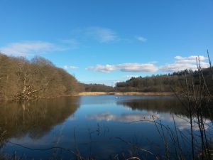 2016-03-20 15.47.03 • nogetiovnen.dk Natur og hav