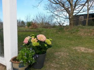 20160423_171116 • nogetiovnen.dk Sommerhusidyl og livsglæde - lykke ved skov, strand og vand