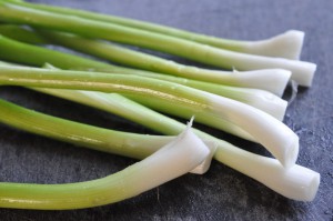 DSC_1168 • nogetiovnen.dk Rissalat med ærter, tomater & forårsløg - nem