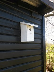 20160505_120619 • nogetiovnen.dk Sommerhusidyl og livsglæde - lykke ved skov, strand og vand
