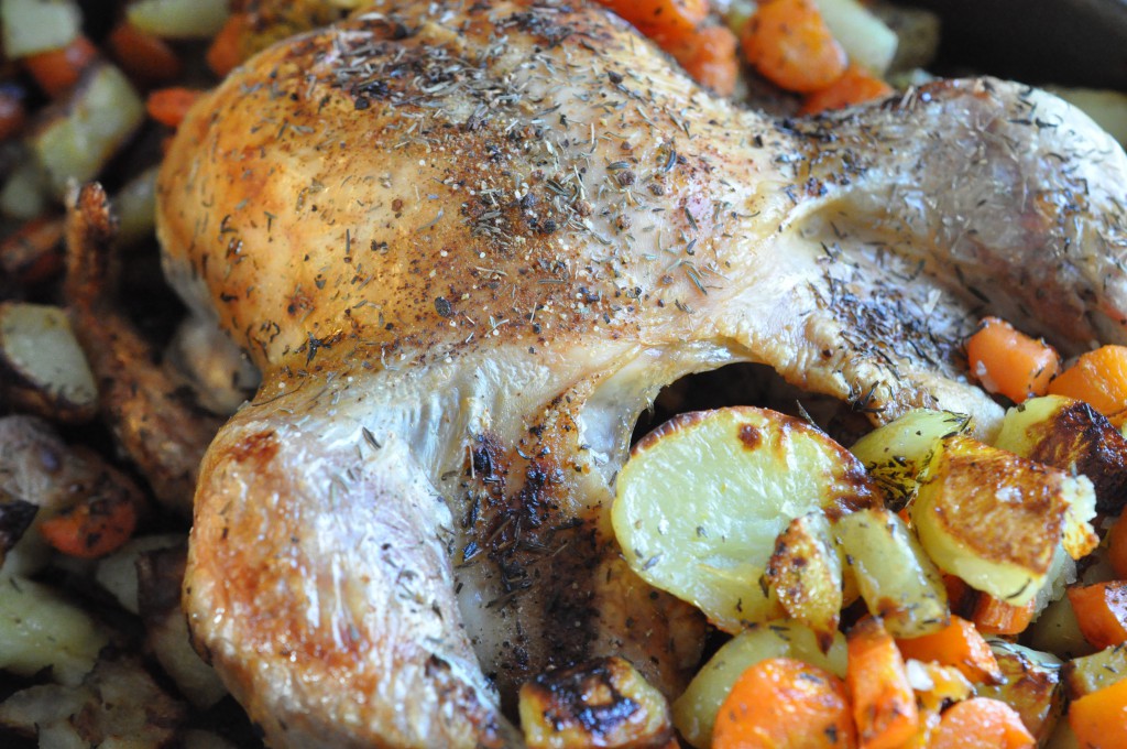 Helstegt kylling og timiankartofler - nemt og lækkert