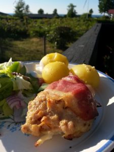 Sommerlykkelige sommerhusglimt