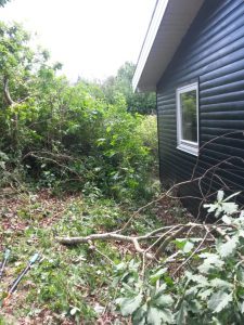 Sommerlykkelige sommerhusglimt
