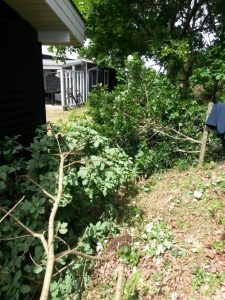 Sommerlykkelige sommerhusglimt