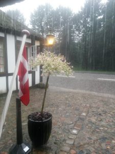 Dage med lykke, bål og æggekage på Hvidsten kro