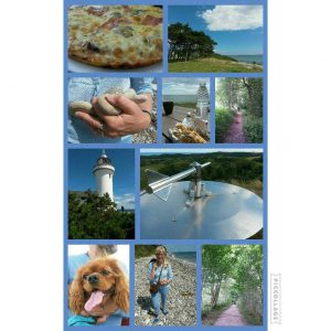 2016-07-13 19.51.18 • nogetiovnen.dk 2016-07-13 19.51.18