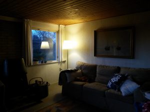 20160422_205328 • nogetiovnen.dk Hav, skov, blomsterflor og fuglesang - sommerhus og ferielykke
