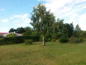 Sommerhuslykke - morgensol og mere havkig