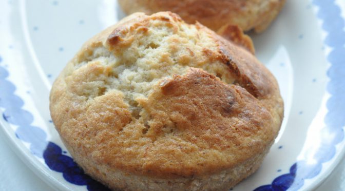 DSC_2009-672x372-1 • nogetiovnen.dk