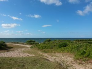 Strand