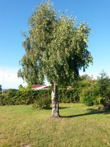 2016-09-11-16-45-22 • nogetiovnenstaging.com 2016-09-11-16-45-22