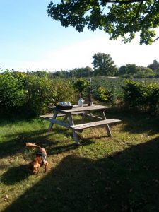2016-09-24-09-46-50 • nogetiovnen.dk Sensommersol & mere sommerhuslykke