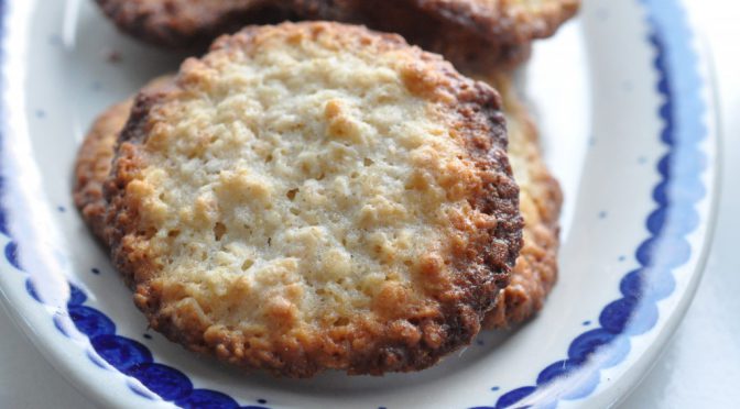 DSC_2246-672x372-1 • nogetiovnen.dk