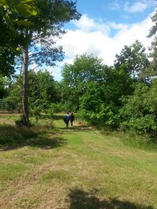 Lidt om søde bloglæsere. En glad Bagenørd