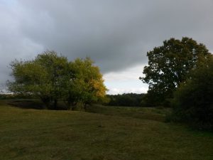 Lidt om søde bloglæsere. En glad Bagenørd