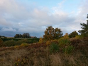 Lidt om søde bloglæsere. En glad Bagenørd