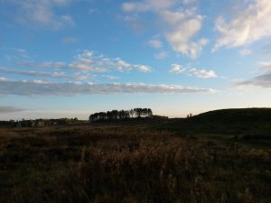 Lidt om søde bloglæsere. En glad Bagenørd
