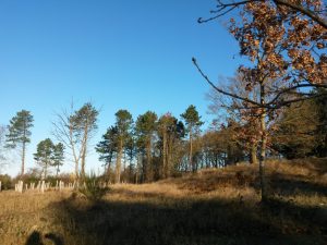 Julehygge i sommerhuset