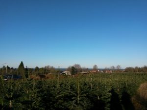 Julehygge i sommerhuset