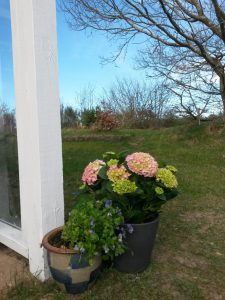 Lidt om søde bloglæsere. En glad Bagenørd