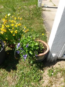 Lidt om søde bloglæsere. En glad Bagenørd