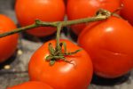 Koteletter i fad med tomatsovs og peberfrugt