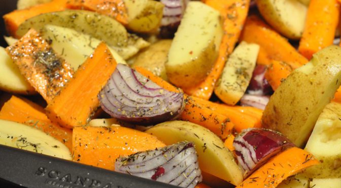 DSC_2752-672x372-1 • nogetiovnen.dk