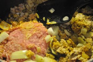 Gryderet med svinekød, porrer, karry & mango