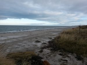 Den gamle bagermester og Gitte 