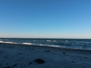 2017-01-15 14.39.40 • nogetiovnen.dk