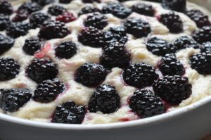 Brombærtærte - lækker og fedtfattig opskrift