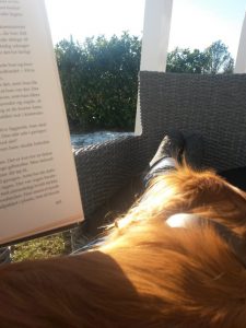 Dybblå keramikskatte og solskins-vinterferie i sommerhuset