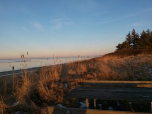 Dybblå keramikskatte og solskins-vinterferie i sommerhuset