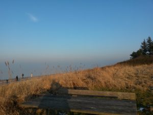 Min datter flyver fra reden - i glæde & vemod