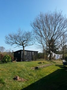 Påskelykke - anemoner, hav og blå himmel