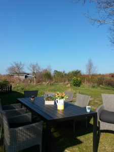 Påskelykke - anemoner, hav og blå himmel