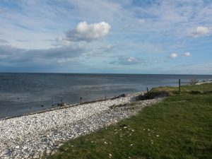 Påskelykke - anemoner, hav og blå himmel