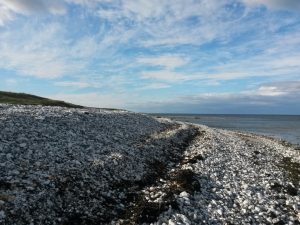 Påskelykke - anemoner, hav og blå himmel