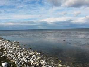 2017-04-13 17.31.26 • nogetiovnen.dk Havet