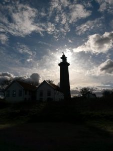 Påskelykke - anemoner, hav og blå himmel