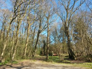 2017-04-22 17.31.47 • nogetiovnen.dk