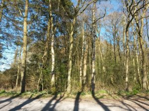 Forårssolen dansede - flere glade sommerhus skriblerier