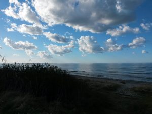 2017-04-22 17.51.27 • nogetiovnen.dk Kalveculotte på grill med timiankartofler