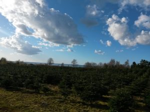 Forårssolen dansede - flere glade sommerhus skriblerier
